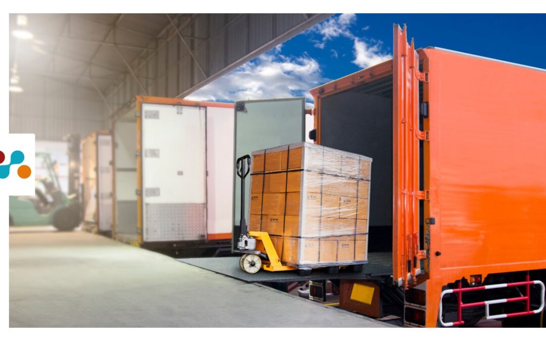 Case Study on 3PL Dynamics
