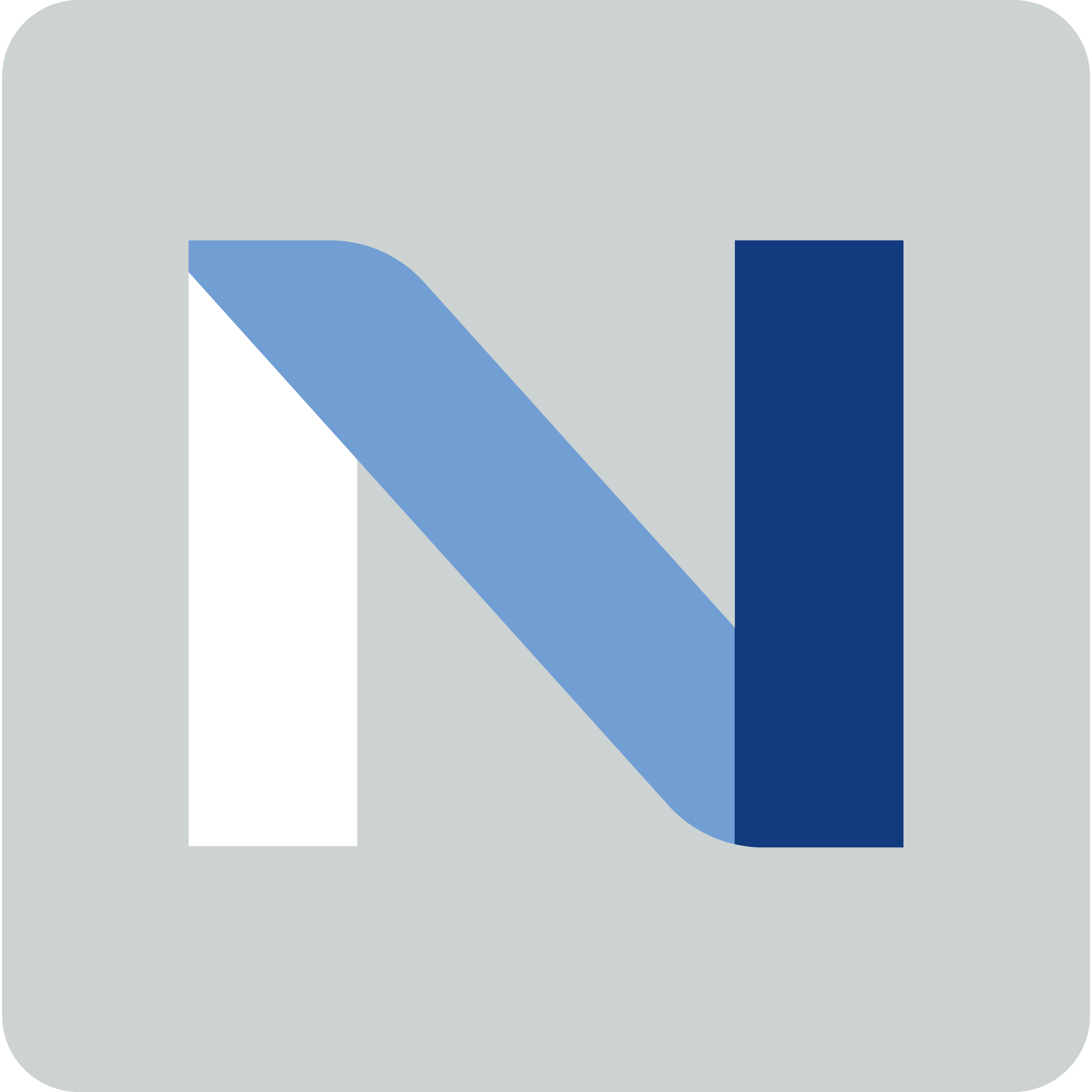 NP Icon