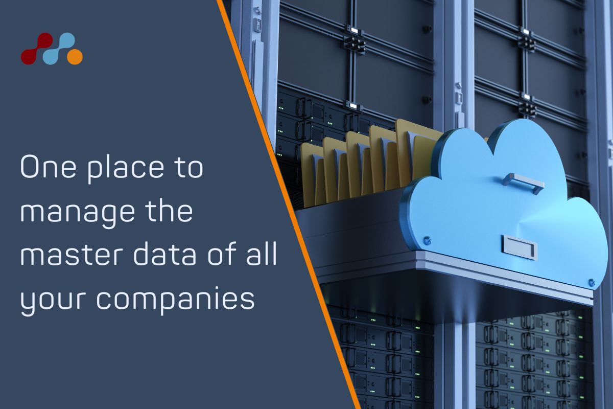 One place to manage the master data of all your companies