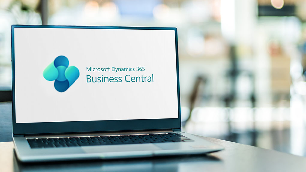 What exactly is Business Central? 