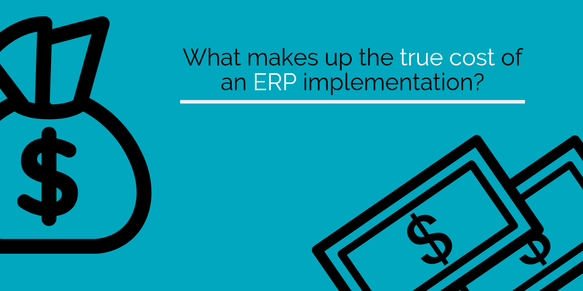 What makes up the true cost of an ERP implementation?