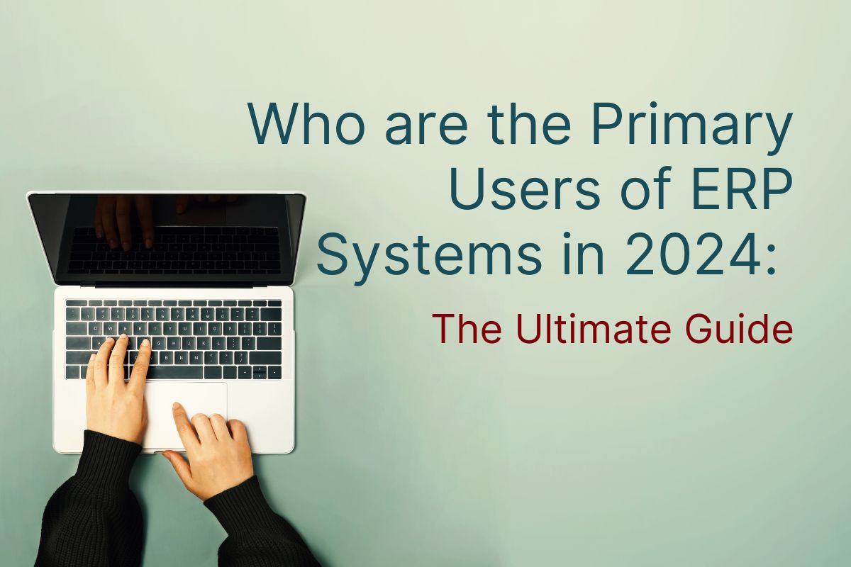 Who are the Primary Users of ERP Systems
