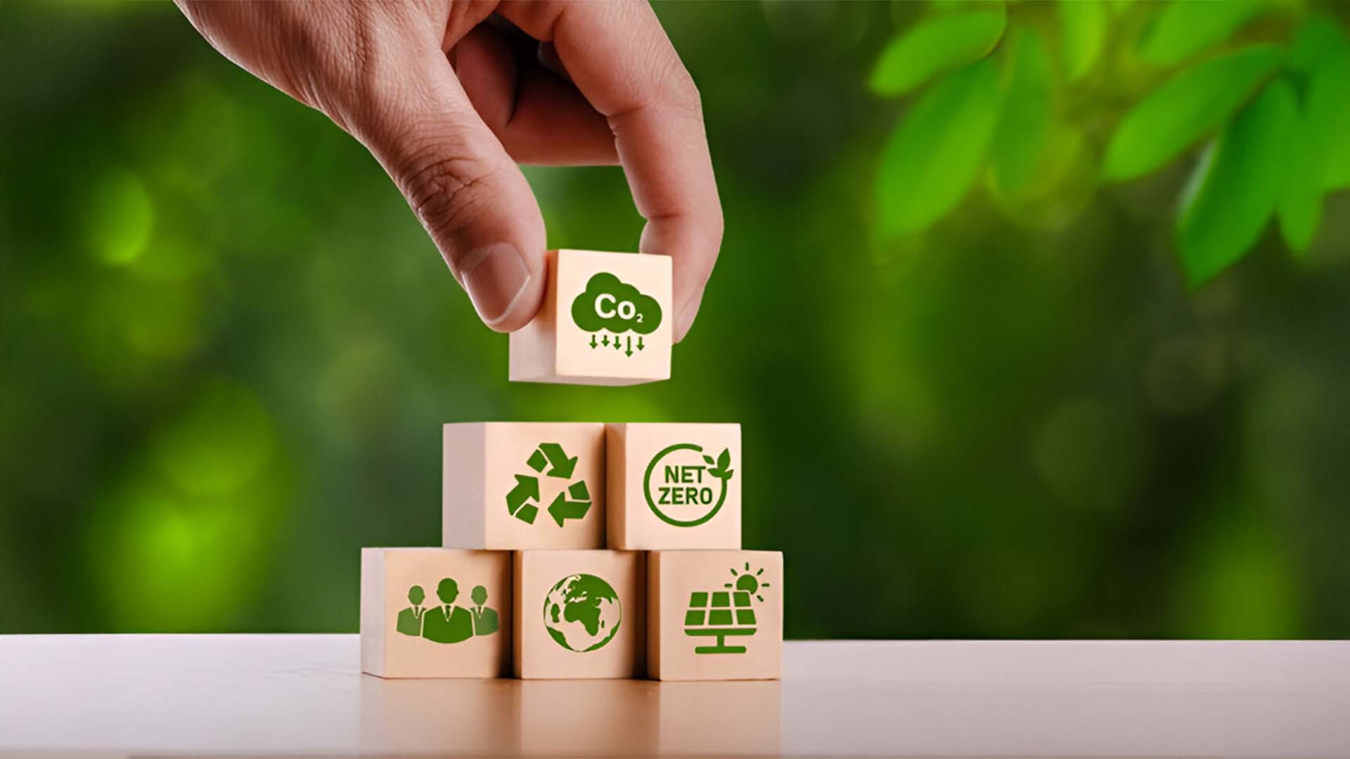 sustainability management